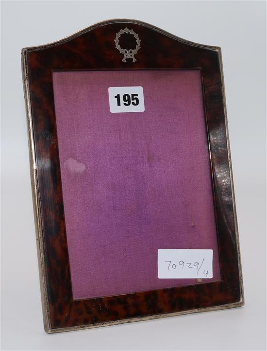 Large tortoishell pique frame